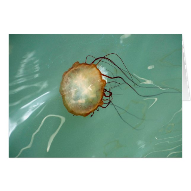 Cartão da arte de Frameable das medusa da (Frente Horizontal)