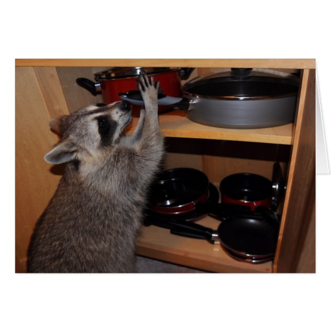 cartão da bandeja da estola (Frente Horizontal)