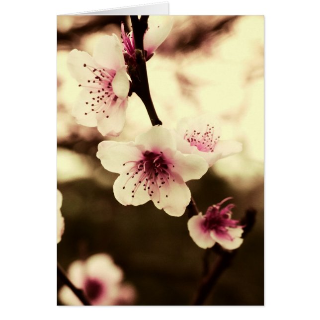 Cartão da beleza de primavera natural (Frente)