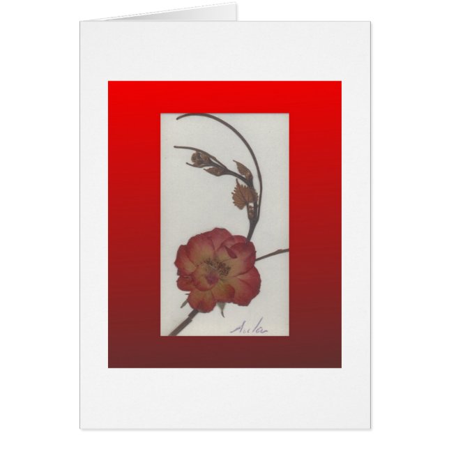 Cartão da caixa de presente (Frente)