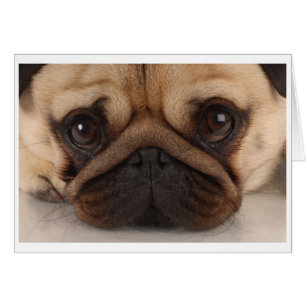 Cartão da caneca do Pug