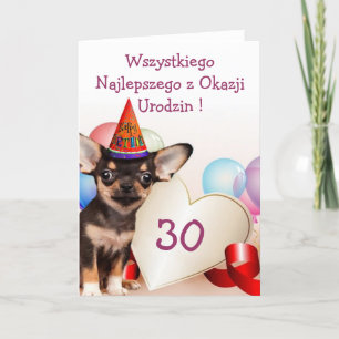 Cartão da chihuahua do aniversário de Wszystkieg