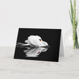 Cartão da cisne