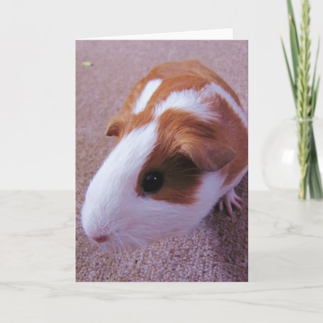 Cartão da cobaia (Frente)