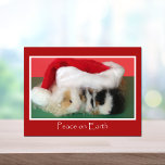 Cartão da cobaia do Natal do Cavy<br><div class="desc">O Natal é um momento de enviar um cumprimento bonito a todos seus amigos da cobaia.  Este grande cartão prá algum elogio em seu feriado.  Loja legal da cobaia do Cavy de Copyright</div>