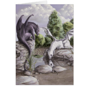 Cartão da curiosidade