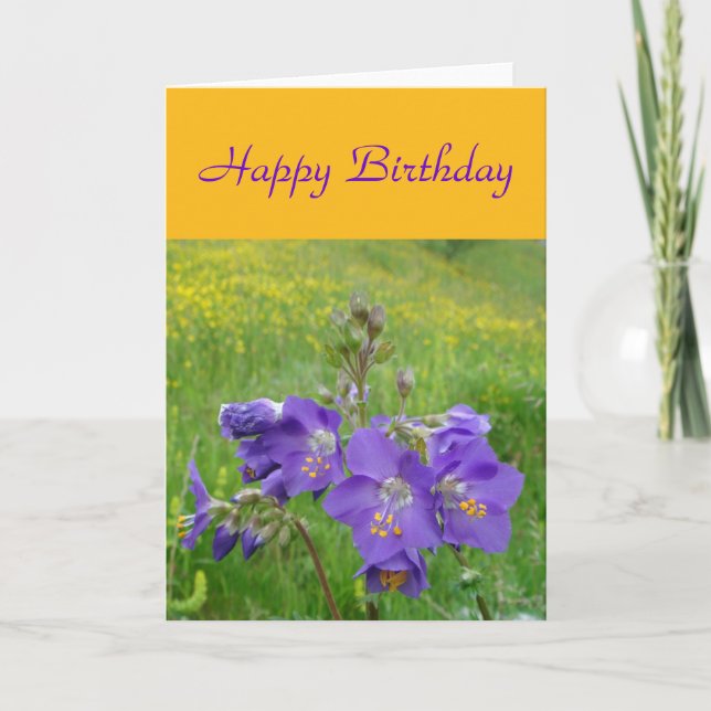 Cartão da escada de Jacob (Frente)