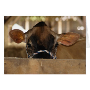 Cartão da feira de condado