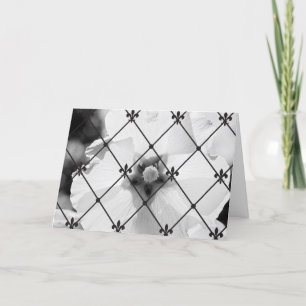 Cartão da flor & da flor de lis de B/W