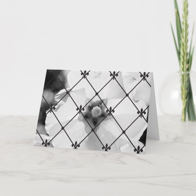 Cartão da flor & da flor de lis de B/W (Frente)