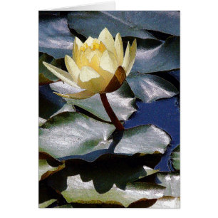 Cartão da flor de Lotus da água