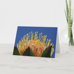 Cartão da flor do Protea