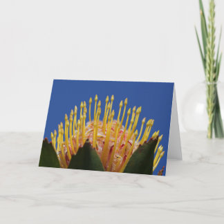 Cartão da flor do Protea