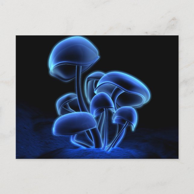 Cartão da fluorescência (Frente)