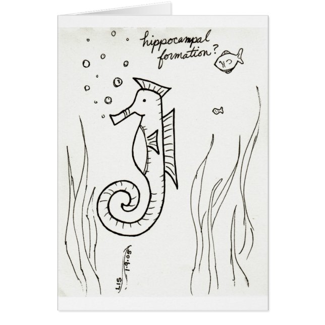 Cartão da formação de Hippocampal (Frente)