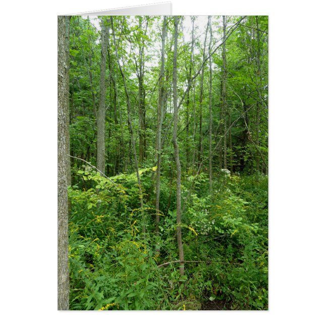 Cartão Da "foto do país casa de campo" (Frente)