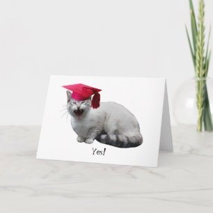 Cartão da graduação do gato