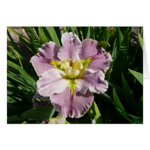 CARTÃO da ÍRIS - LATECOMER de DUREL - cartão vazio