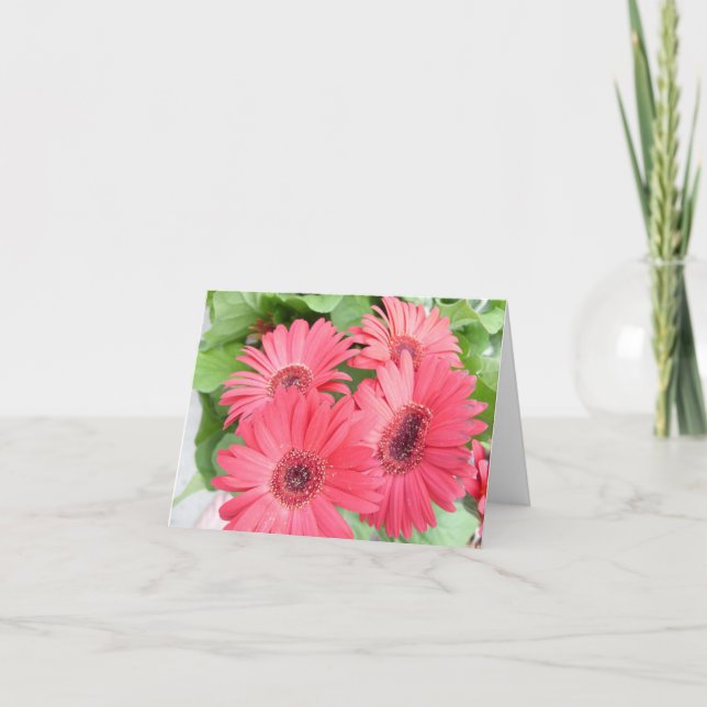 Cartão da margarida (Frente)