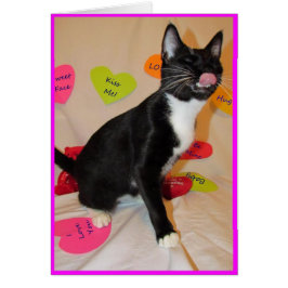 Cartão Dá-Me Um Beijo Grande - Dia de os namorados De Gat