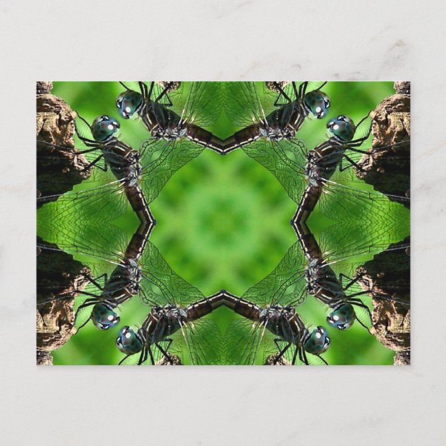 Cartão da natureza da arte do caleidoscópio da (Frente)