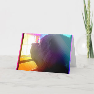 Cartão da perda do animal de estimação