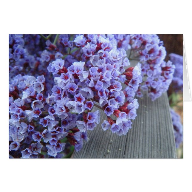 Cartão da Puta Púrpura (Frente Horizontal)