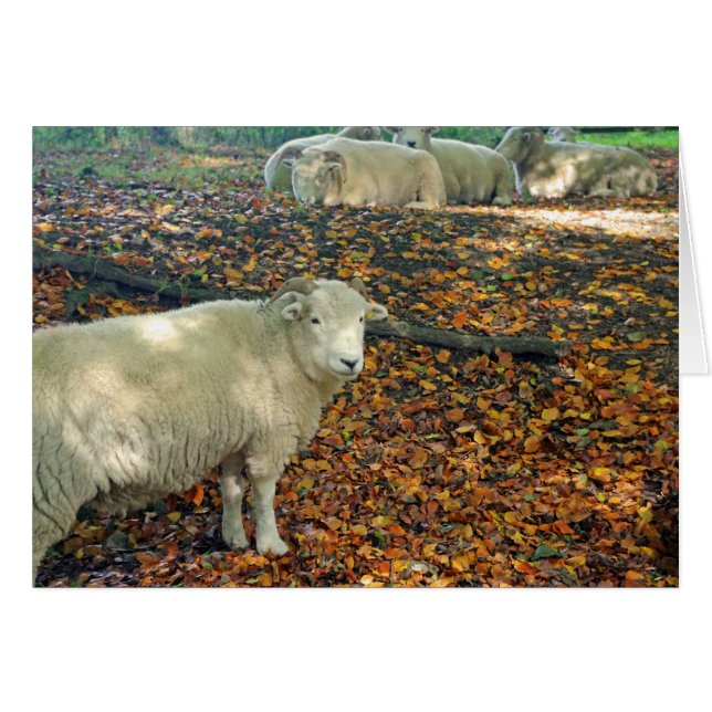 Cartão da ram (Frente Horizontal)