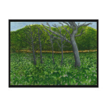 Cartão da serenidade da montanha