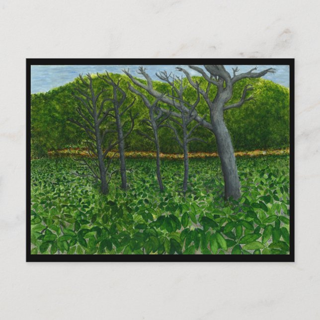 Cartão da serenidade da montanha (Frente)