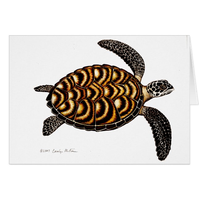 Cartão da tartaruga de mar de Hawksbill (Frente Horizontal)