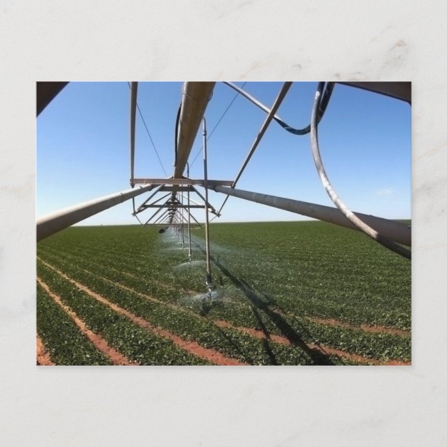 Cartão da terra (Frente)