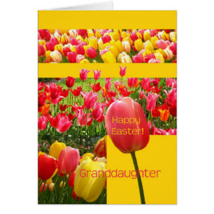 Cartão da tulipa do felz pascoa da neta
