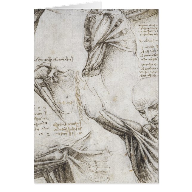 Cartão Da Vinci, Leonardo - estudo da anatomia (Frente)