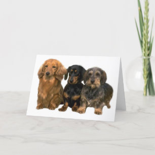 Cartão Dachshances