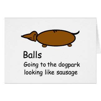 Cartão Dachshund