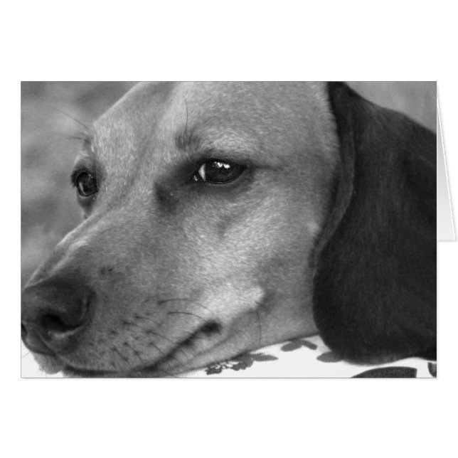 Cartão Dachshund (Frente Horizontal)