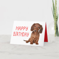 Dachshund Birthday Engraçado Wiener Dog Dashie Bda