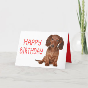 Cartão Dachshund Birthday Engraçado Wiener Dog Dashie Bda