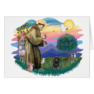 Cartão Dachshund (bronzeado de cabelos longos)