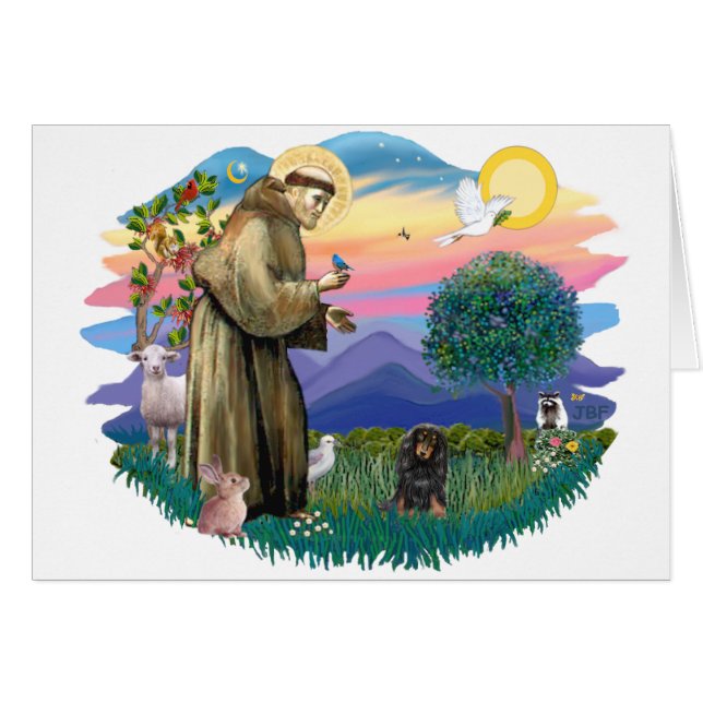 Cartão Dachshund (bronzeado preto longo e cabeludo) (Frente Horizontal)