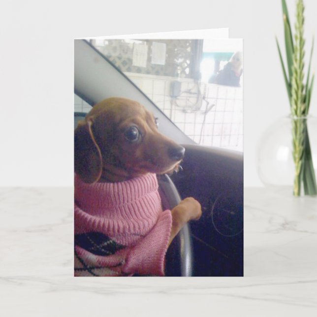 Cartão Dachshund  Card (Frente)