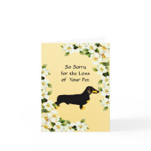 Dachshund e Dogwood - Simpatia
