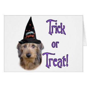 Cartão Dachshund (fio)