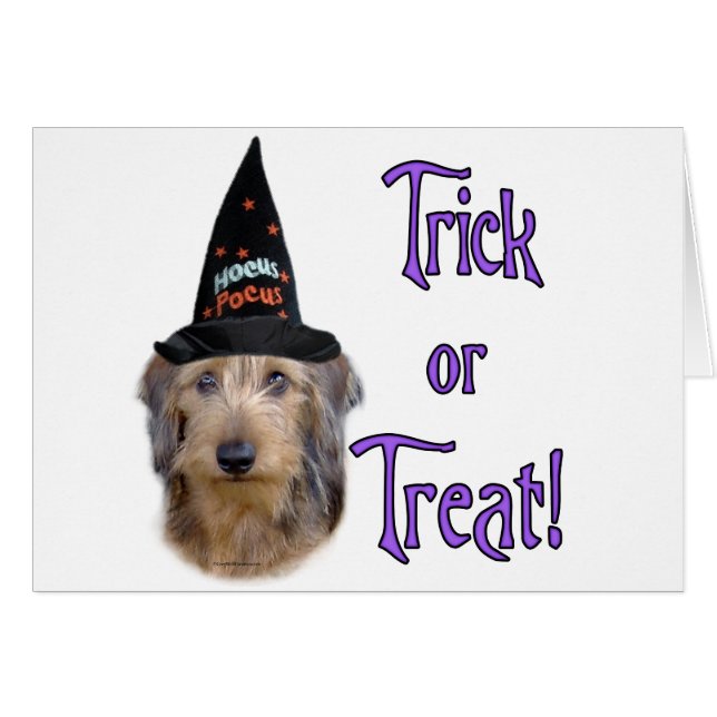 Cartão Dachshund (fio) (Frente Horizontal)