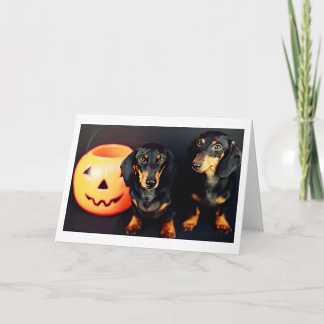 Cartão Dachshund Halloween (Frente)