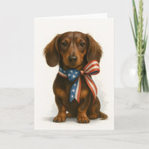 Dachshund Patriótico