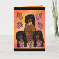 Dachshund preto de pelo longo