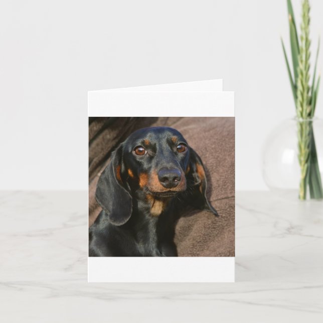Cartão dachshund preto e castanho (Frente)
