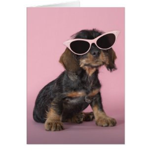 Cartão Dachshund Puppy Vestindo óculos escuros